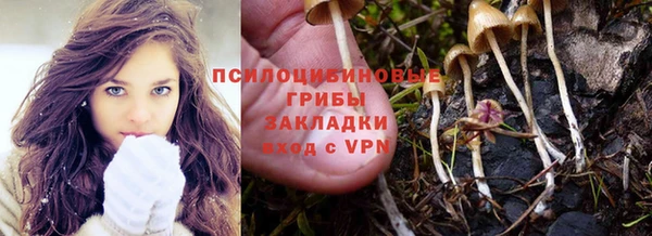 трава Осташков