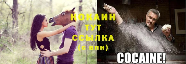 круглые Осинники
